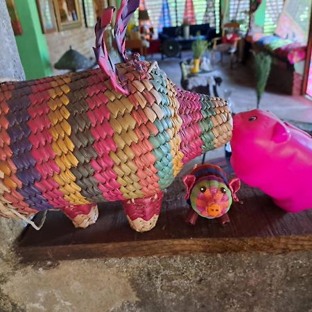 Planta Glamp Farm Hotel Santa Maria Huatulco ภายนอก รูปภาพ