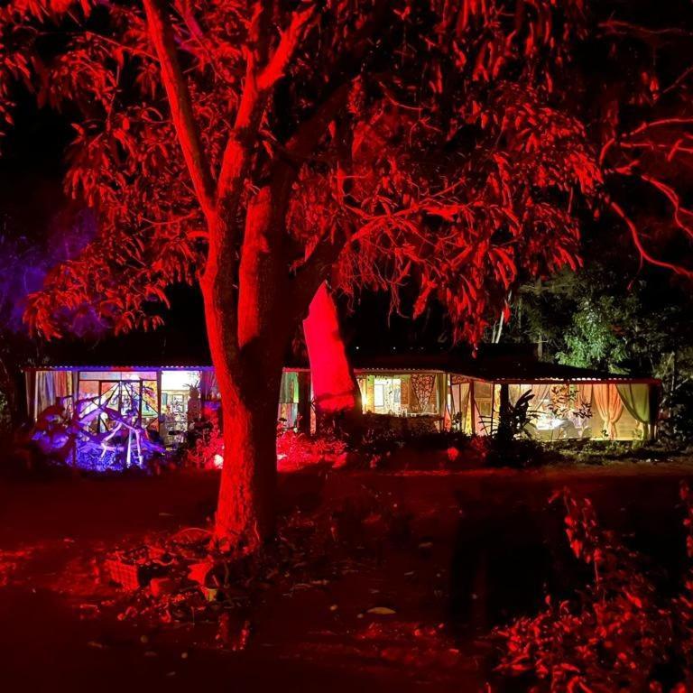 Planta Glamp Farm Hotel Santa Maria Huatulco ภายนอก รูปภาพ