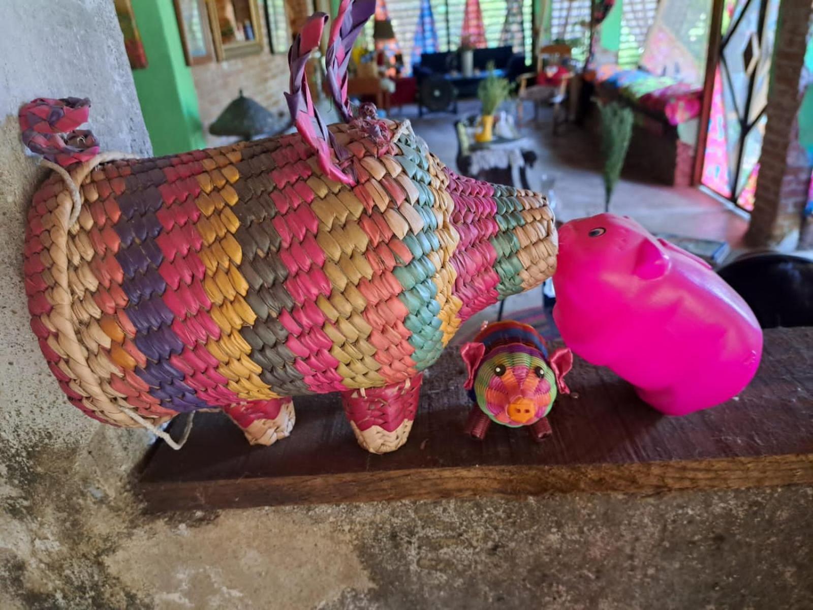 Planta Glamp Farm Hotel Santa Maria Huatulco ภายนอก รูปภาพ